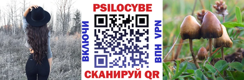 цены наркотик Орлов mega онион Псилоцибиновые грибы Psilocybe